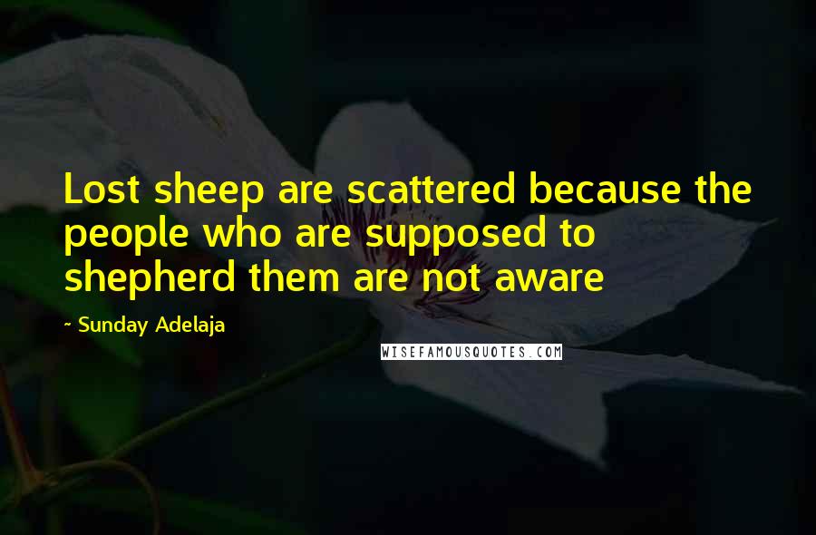 Sunday Adelaja Quotes: Lost sheep are scattered because the people who are supposed to shepherd them are not aware
