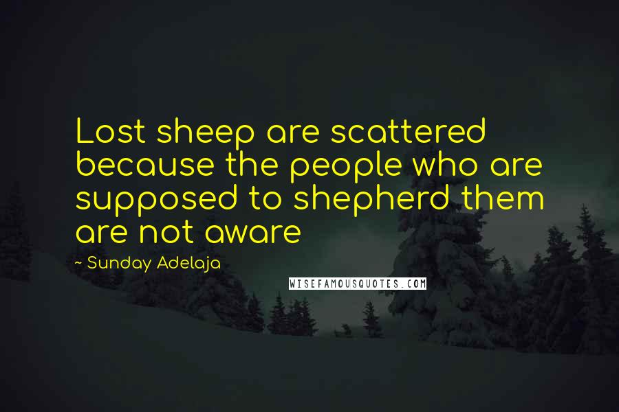 Sunday Adelaja Quotes: Lost sheep are scattered because the people who are supposed to shepherd them are not aware