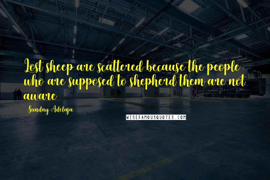 Sunday Adelaja Quotes: Lost sheep are scattered because the people who are supposed to shepherd them are not aware