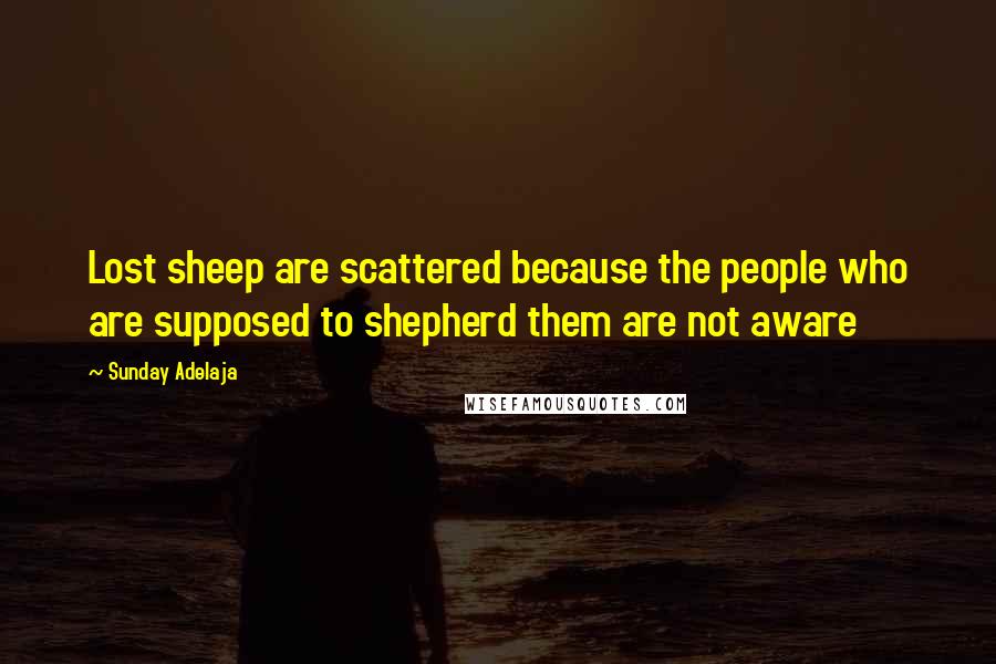 Sunday Adelaja Quotes: Lost sheep are scattered because the people who are supposed to shepherd them are not aware