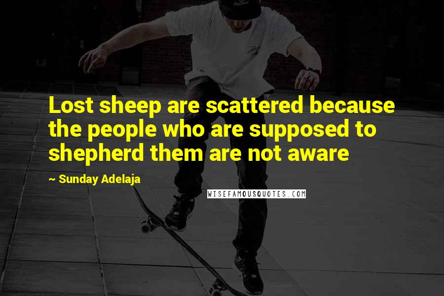 Sunday Adelaja Quotes: Lost sheep are scattered because the people who are supposed to shepherd them are not aware