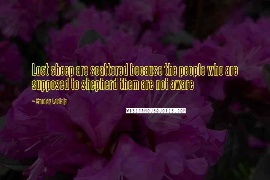 Sunday Adelaja Quotes: Lost sheep are scattered because the people who are supposed to shepherd them are not aware