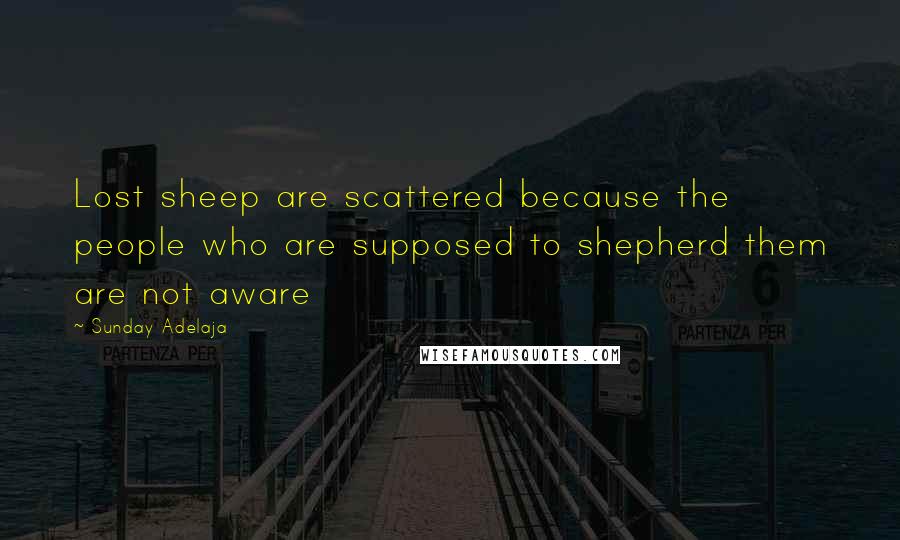Sunday Adelaja Quotes: Lost sheep are scattered because the people who are supposed to shepherd them are not aware