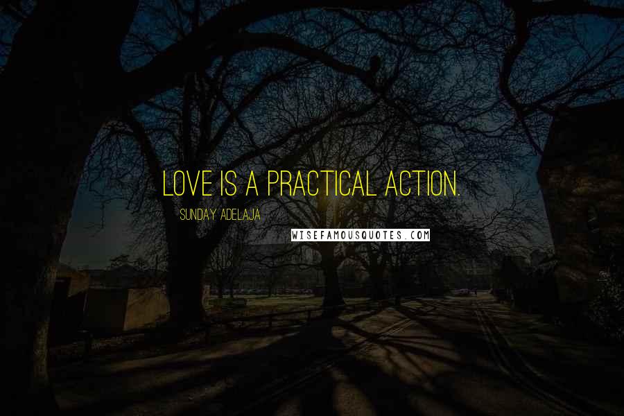 Sunday Adelaja Quotes: Love is a practical action.