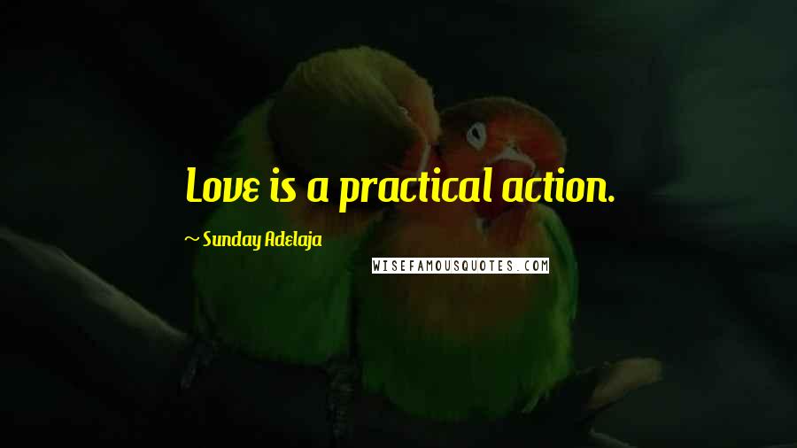 Sunday Adelaja Quotes: Love is a practical action.
