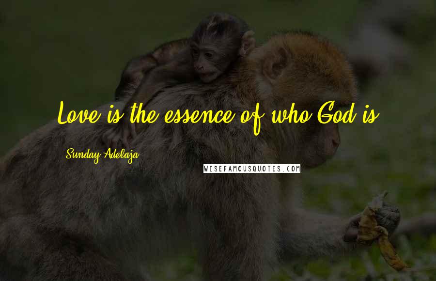 Sunday Adelaja Quotes: Love is the essence of who God is