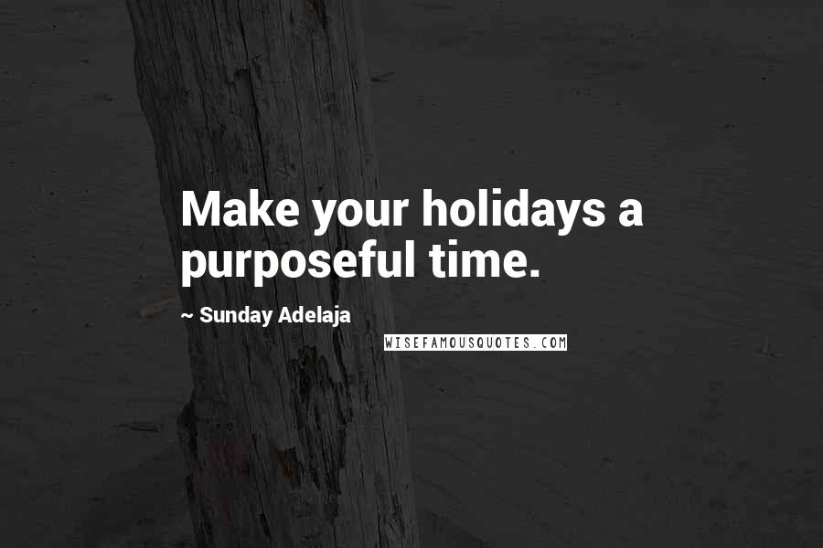 Sunday Adelaja Quotes: Make your holidays a purposeful time.