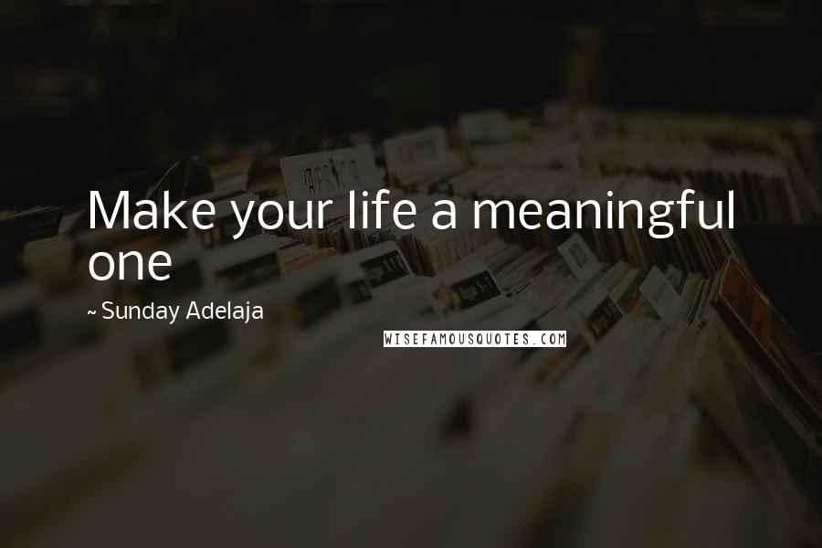 Sunday Adelaja Quotes: Make your life a meaningful one