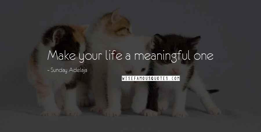 Sunday Adelaja Quotes: Make your life a meaningful one
