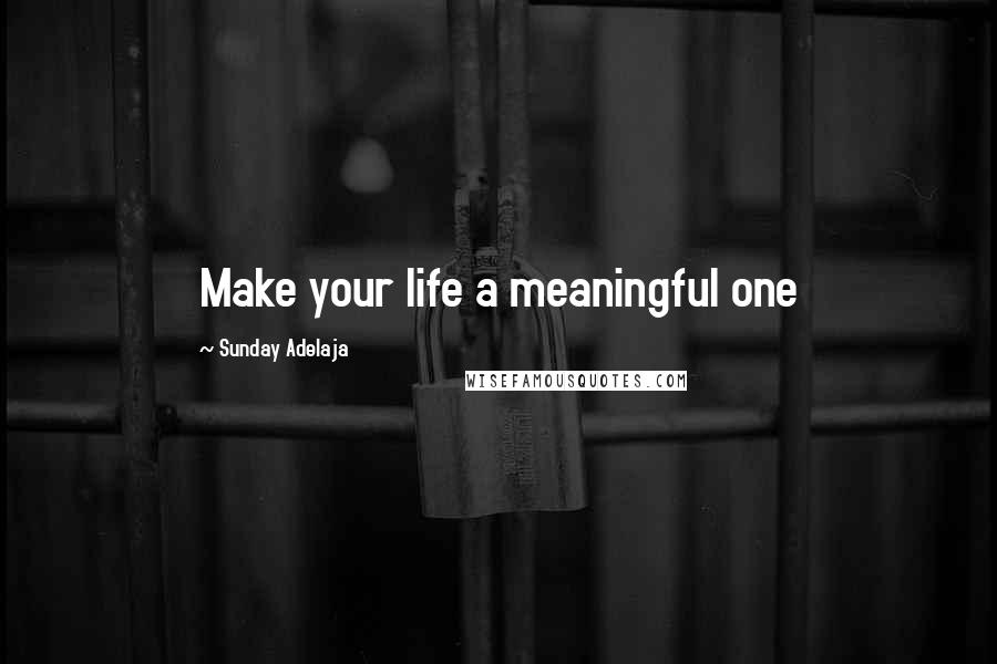 Sunday Adelaja Quotes: Make your life a meaningful one