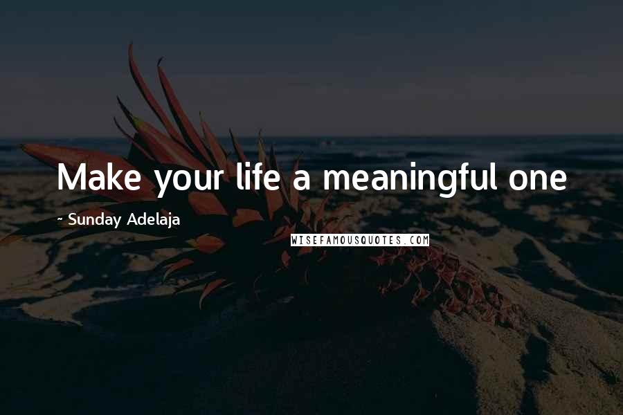 Sunday Adelaja Quotes: Make your life a meaningful one