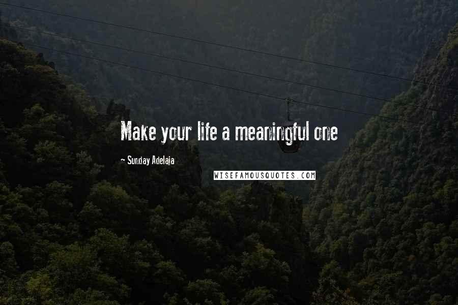 Sunday Adelaja Quotes: Make your life a meaningful one
