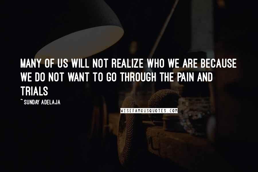 Sunday Adelaja Quotes: Many of us will not realize who we are because we do not want to go through the pain and trials