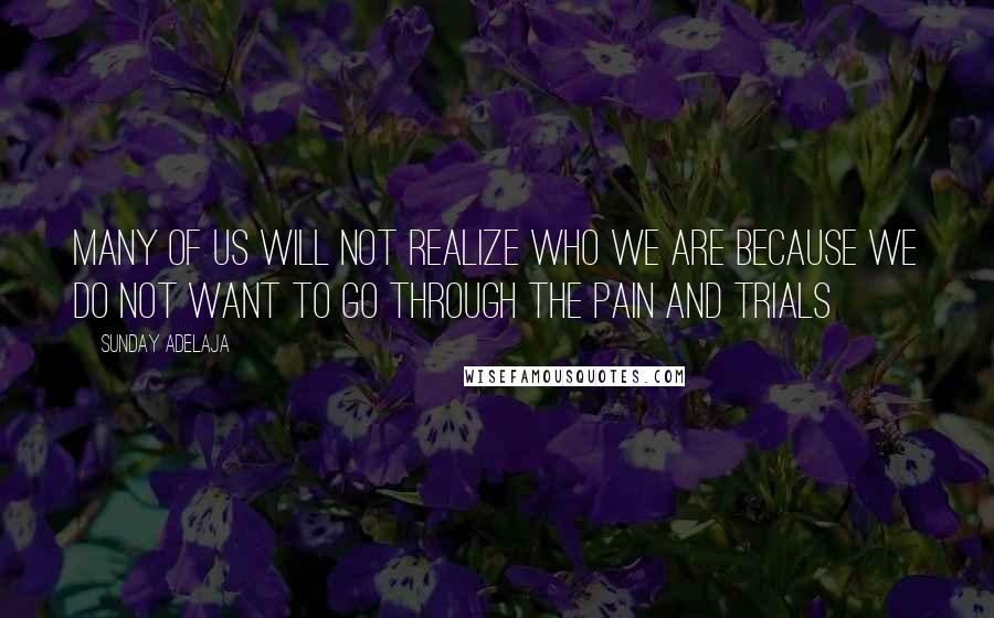 Sunday Adelaja Quotes: Many of us will not realize who we are because we do not want to go through the pain and trials