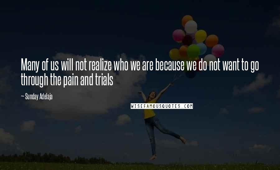 Sunday Adelaja Quotes: Many of us will not realize who we are because we do not want to go through the pain and trials