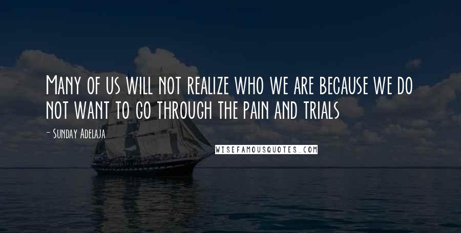 Sunday Adelaja Quotes: Many of us will not realize who we are because we do not want to go through the pain and trials