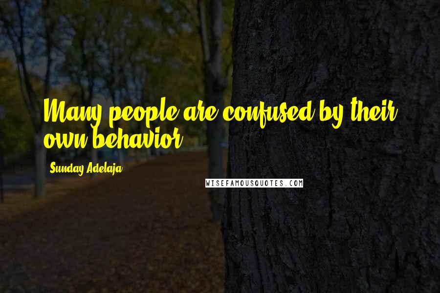 Sunday Adelaja Quotes: Many people are confused by their own behavior