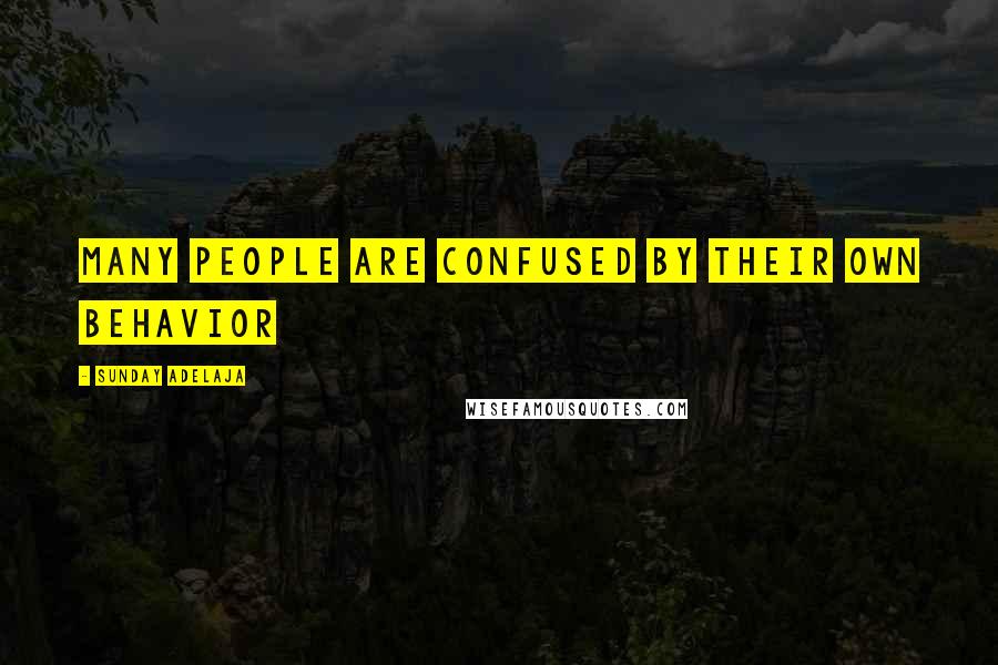 Sunday Adelaja Quotes: Many people are confused by their own behavior