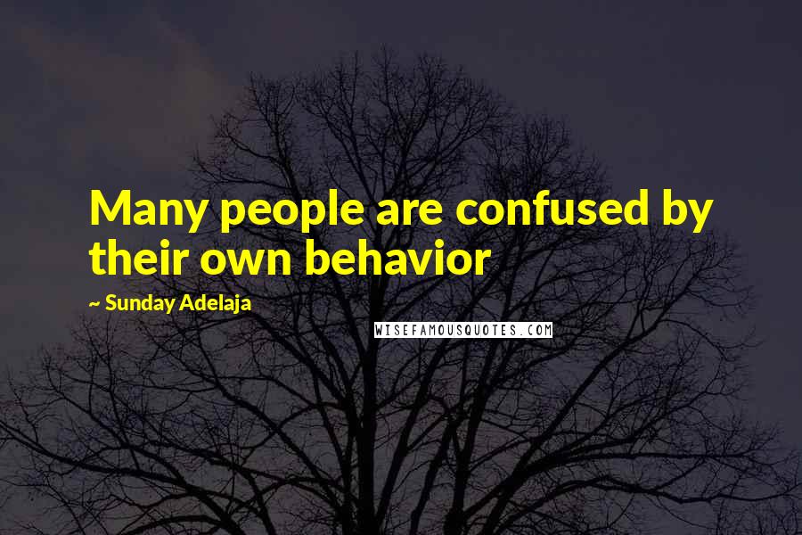Sunday Adelaja Quotes: Many people are confused by their own behavior