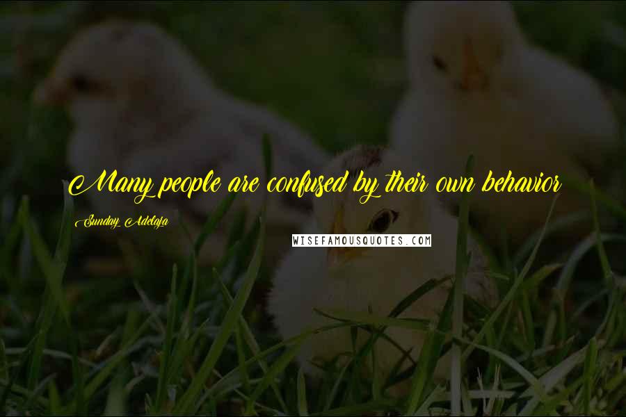 Sunday Adelaja Quotes: Many people are confused by their own behavior