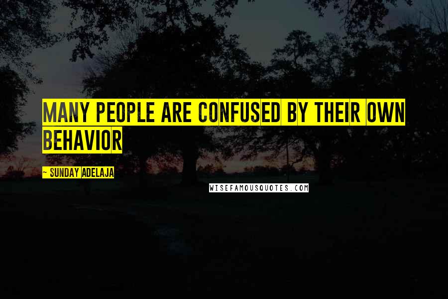 Sunday Adelaja Quotes: Many people are confused by their own behavior