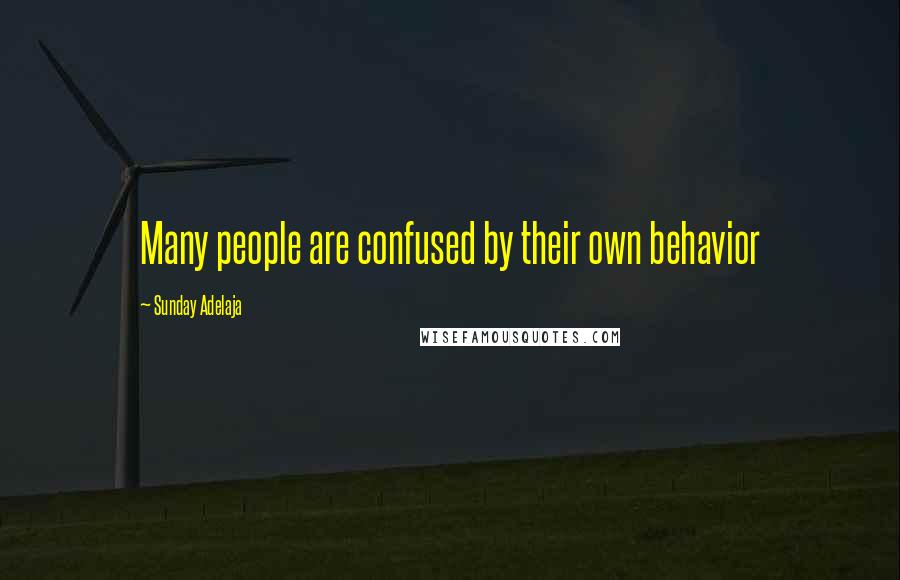 Sunday Adelaja Quotes: Many people are confused by their own behavior