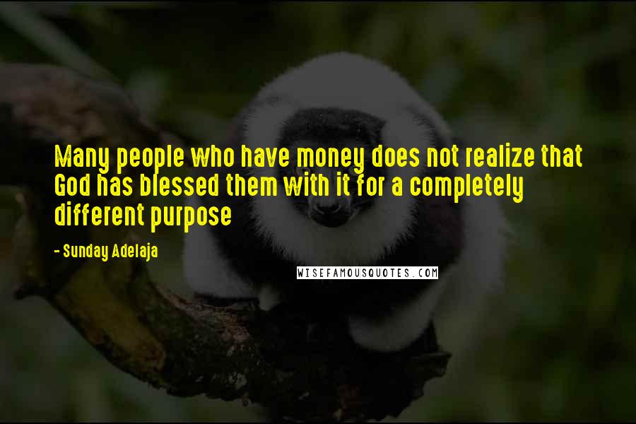Sunday Adelaja Quotes: Many people who have money does not realize that God has blessed them with it for a completely different purpose