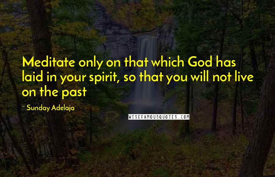 Sunday Adelaja Quotes: Meditate only on that which God has laid in your spirit, so that you will not live on the past