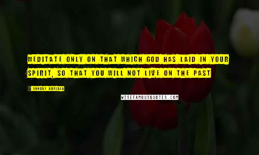 Sunday Adelaja Quotes: Meditate only on that which God has laid in your spirit, so that you will not live on the past