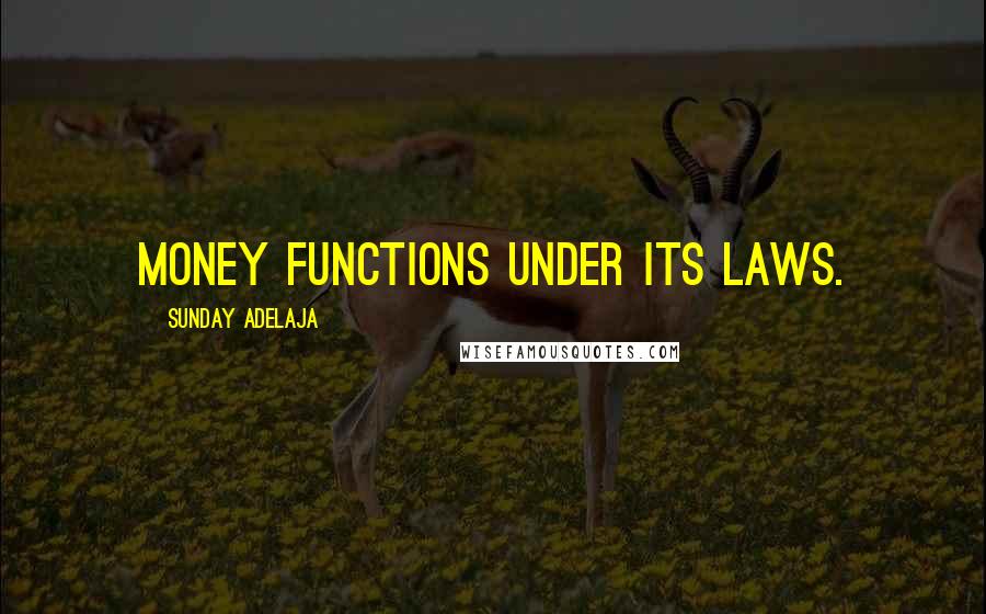 Sunday Adelaja Quotes: Money functions under its laws.