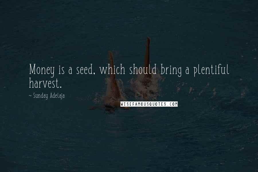 Sunday Adelaja Quotes: Money is a seed, which should bring a plentiful harvest.