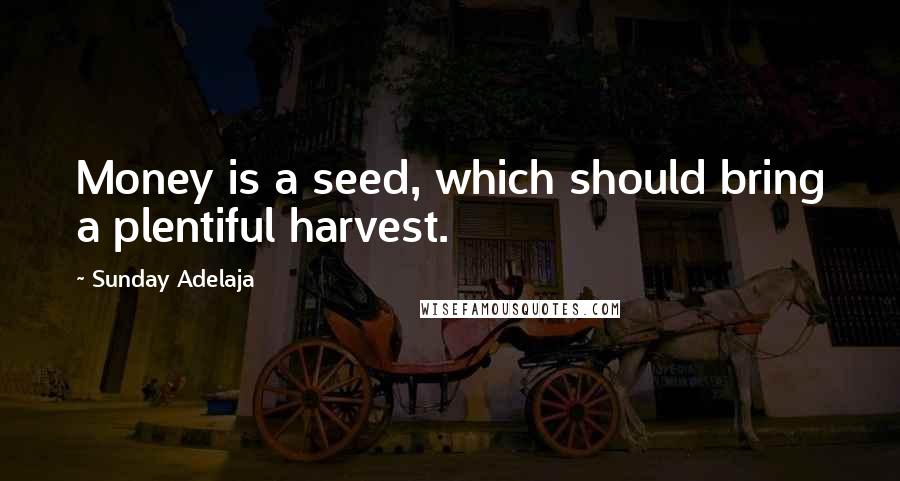 Sunday Adelaja Quotes: Money is a seed, which should bring a plentiful harvest.