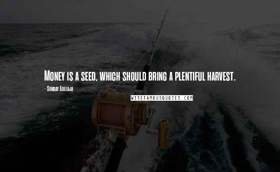 Sunday Adelaja Quotes: Money is a seed, which should bring a plentiful harvest.