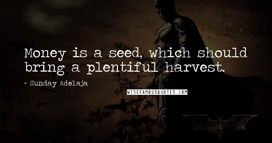 Sunday Adelaja Quotes: Money is a seed, which should bring a plentiful harvest.