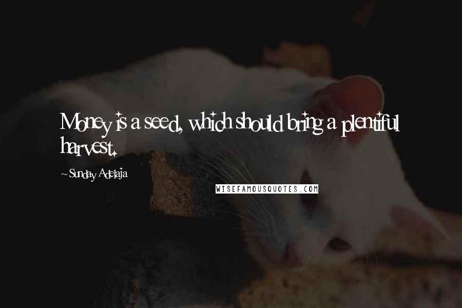 Sunday Adelaja Quotes: Money is a seed, which should bring a plentiful harvest.