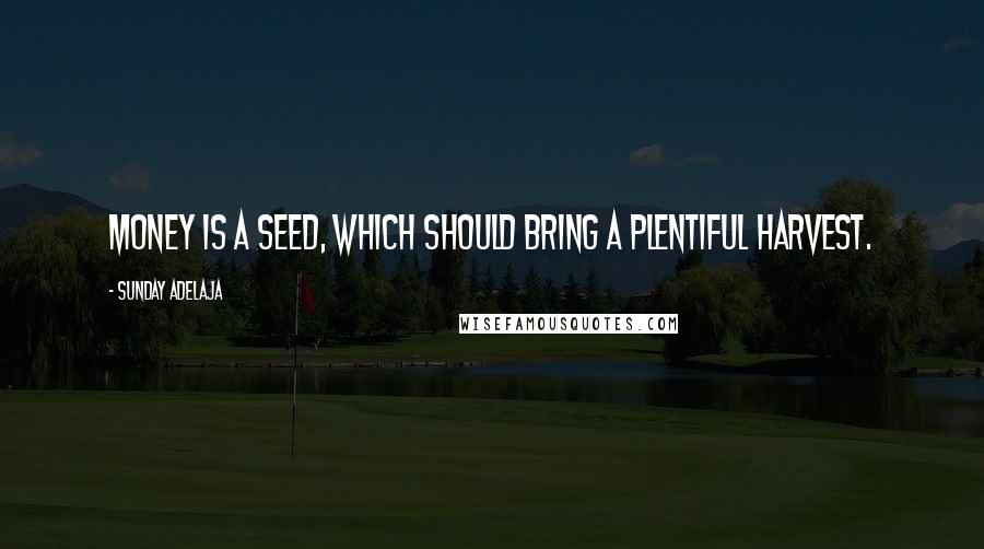 Sunday Adelaja Quotes: Money is a seed, which should bring a plentiful harvest.