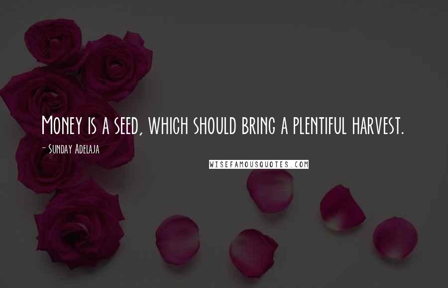 Sunday Adelaja Quotes: Money is a seed, which should bring a plentiful harvest.