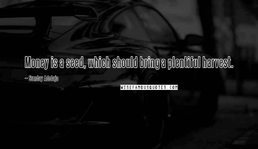 Sunday Adelaja Quotes: Money is a seed, which should bring a plentiful harvest.