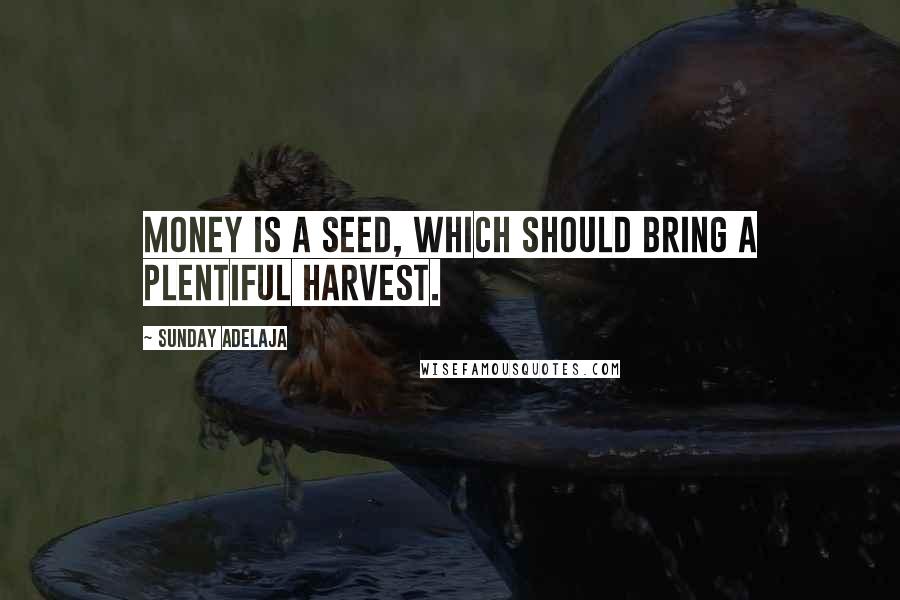 Sunday Adelaja Quotes: Money is a seed, which should bring a plentiful harvest.