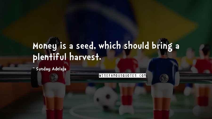 Sunday Adelaja Quotes: Money is a seed, which should bring a plentiful harvest.