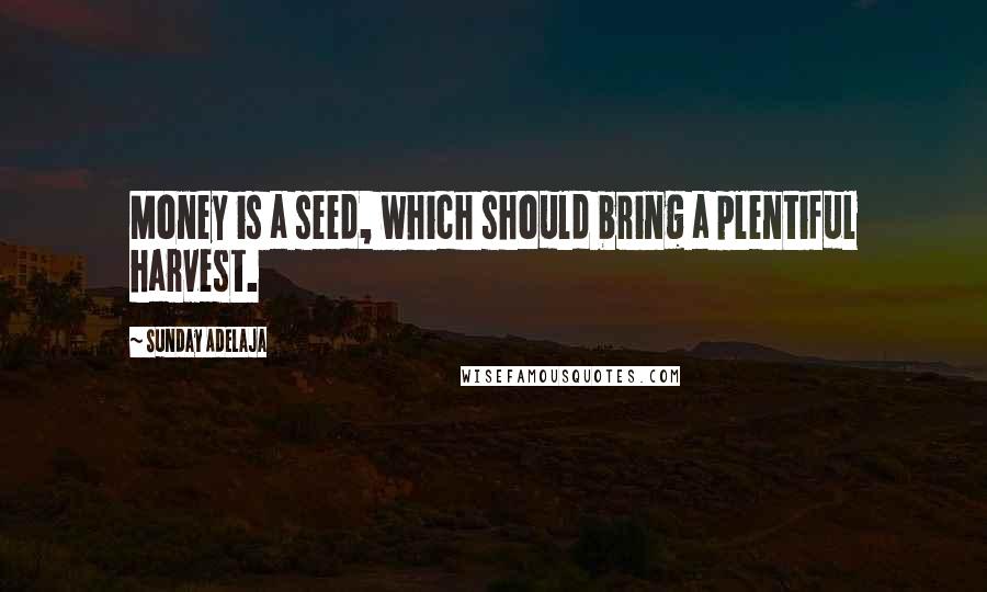 Sunday Adelaja Quotes: Money is a seed, which should bring a plentiful harvest.