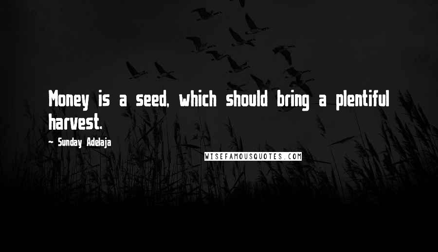 Sunday Adelaja Quotes: Money is a seed, which should bring a plentiful harvest.