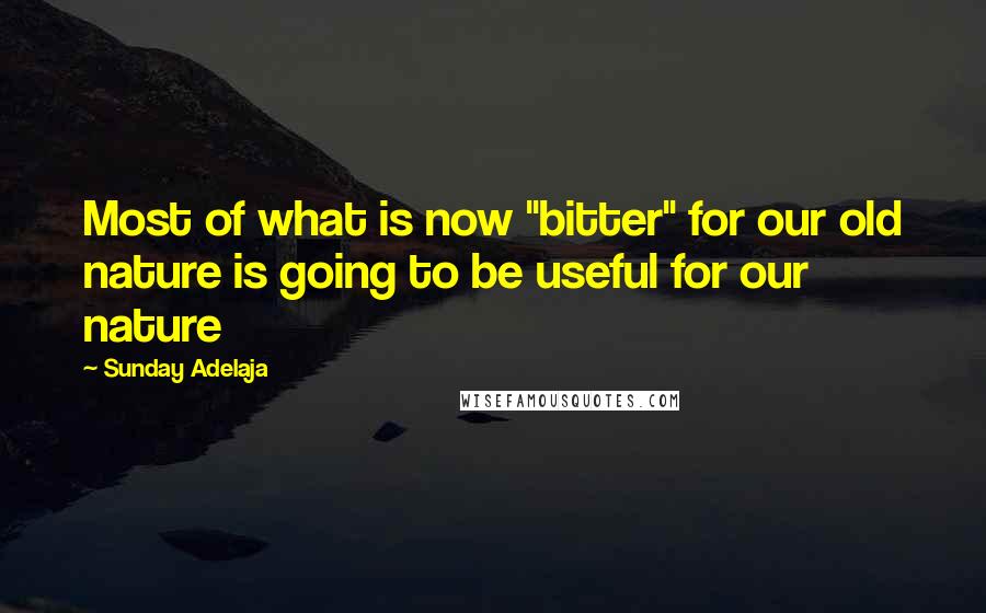 Sunday Adelaja Quotes: Most of what is now "bitter" for our old nature is going to be useful for our nature