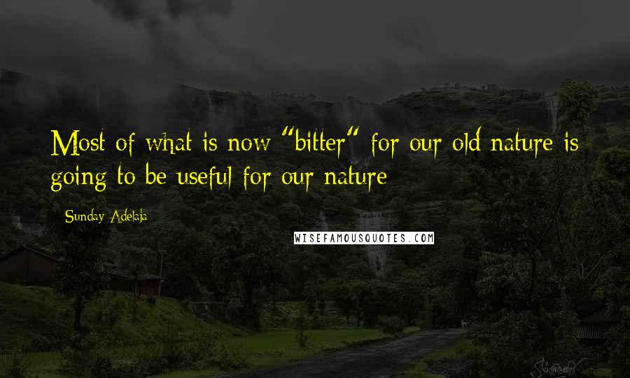 Sunday Adelaja Quotes: Most of what is now "bitter" for our old nature is going to be useful for our nature