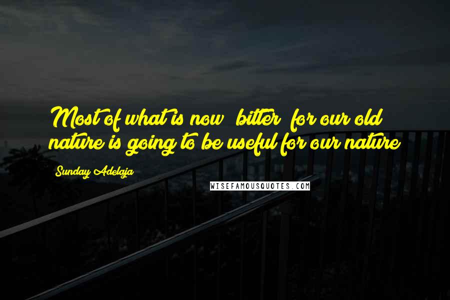 Sunday Adelaja Quotes: Most of what is now "bitter" for our old nature is going to be useful for our nature