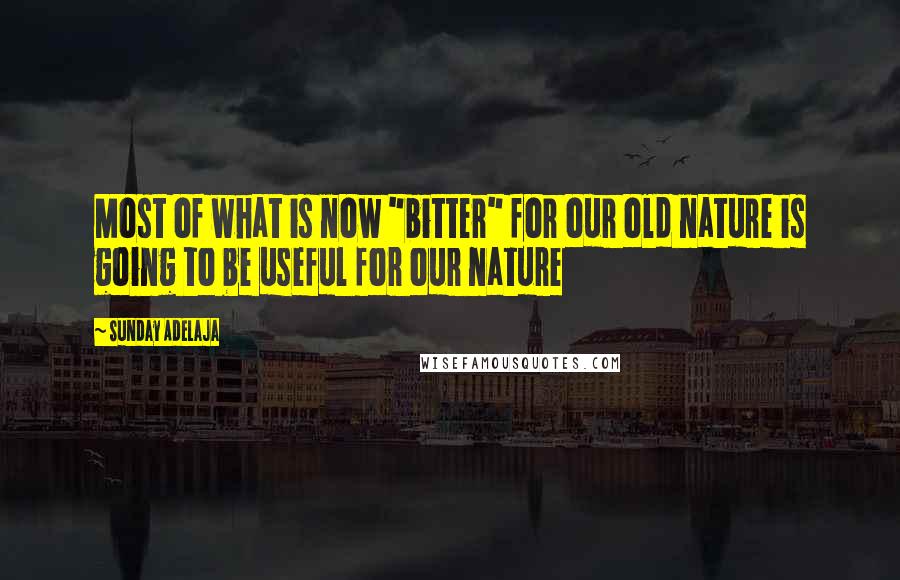 Sunday Adelaja Quotes: Most of what is now "bitter" for our old nature is going to be useful for our nature
