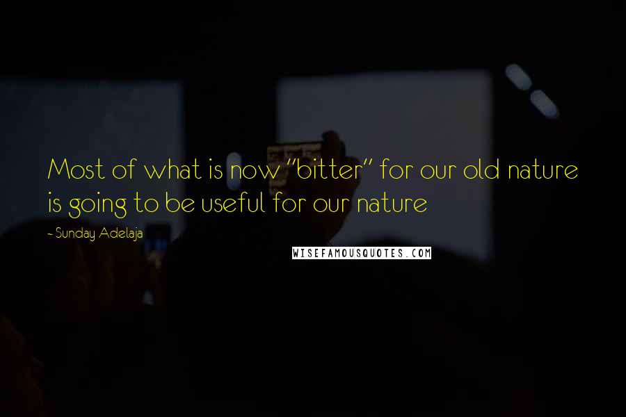 Sunday Adelaja Quotes: Most of what is now "bitter" for our old nature is going to be useful for our nature