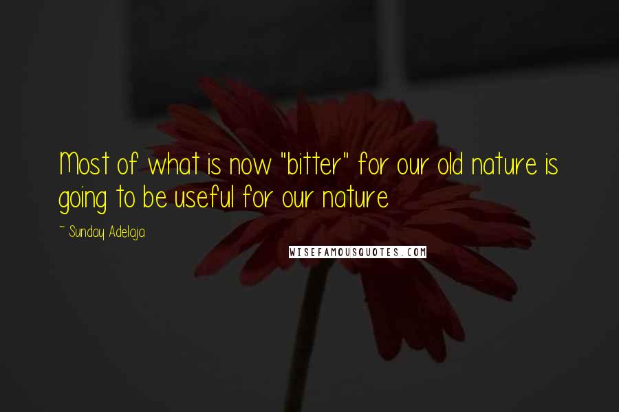 Sunday Adelaja Quotes: Most of what is now "bitter" for our old nature is going to be useful for our nature