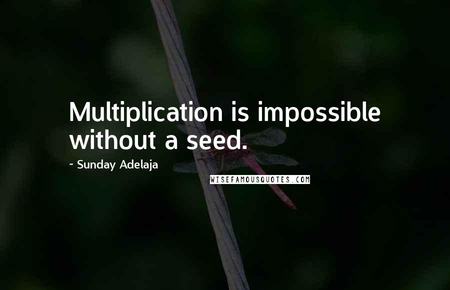 Sunday Adelaja Quotes: Multiplication is impossible without a seed.