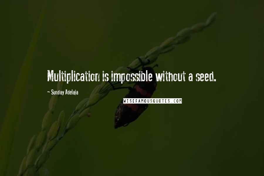 Sunday Adelaja Quotes: Multiplication is impossible without a seed.